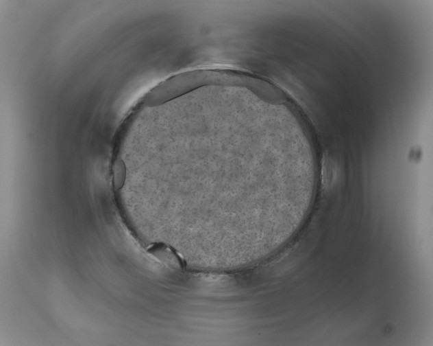 X0000112471452200909281034