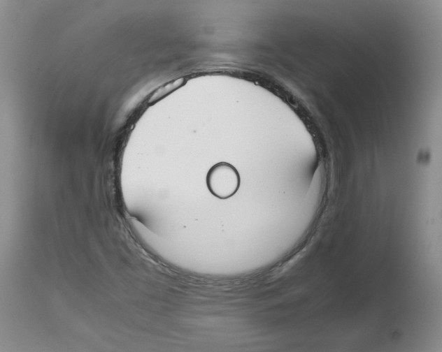 X0000112471453200909281033
