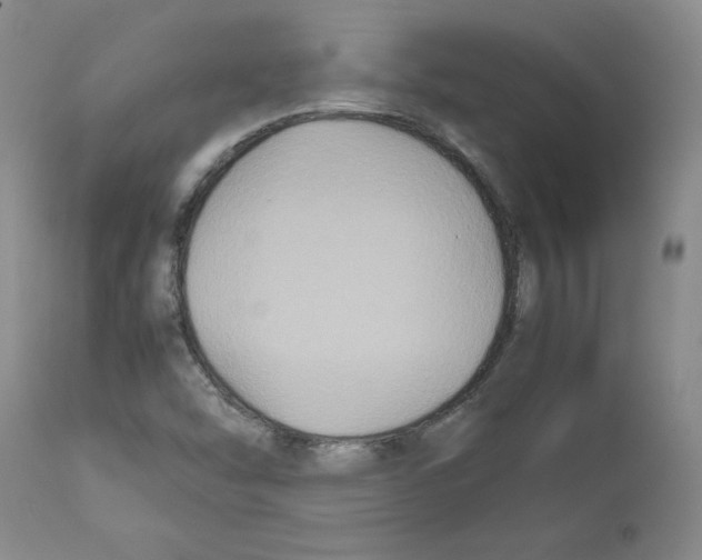 X0000112471454200909281033