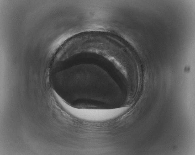 X0000112471455200909281033