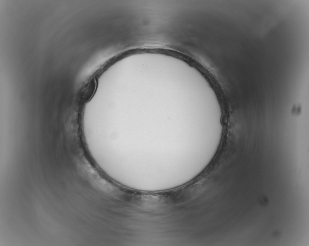 X0000112471456200909281033