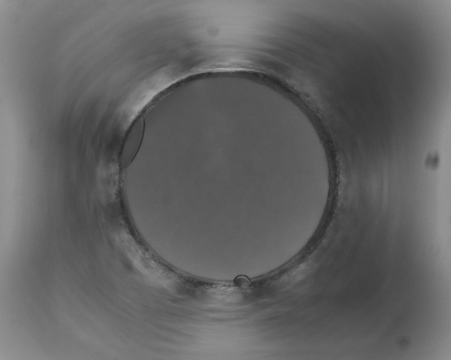 X0000112471457200909281033