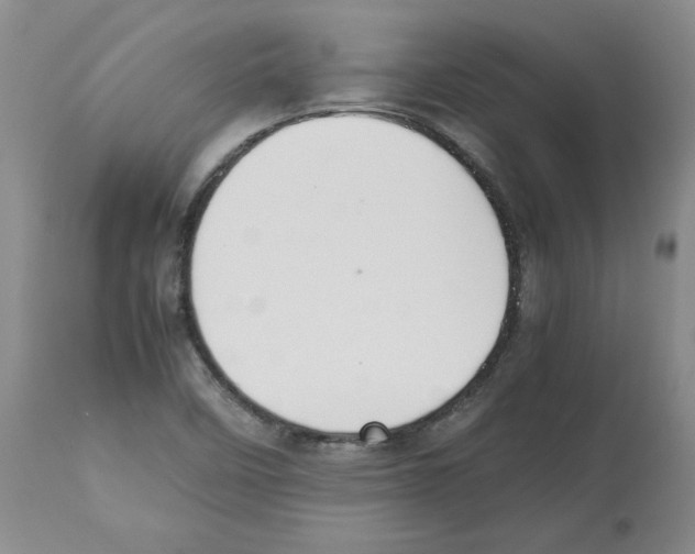 X0000112471458200909281033