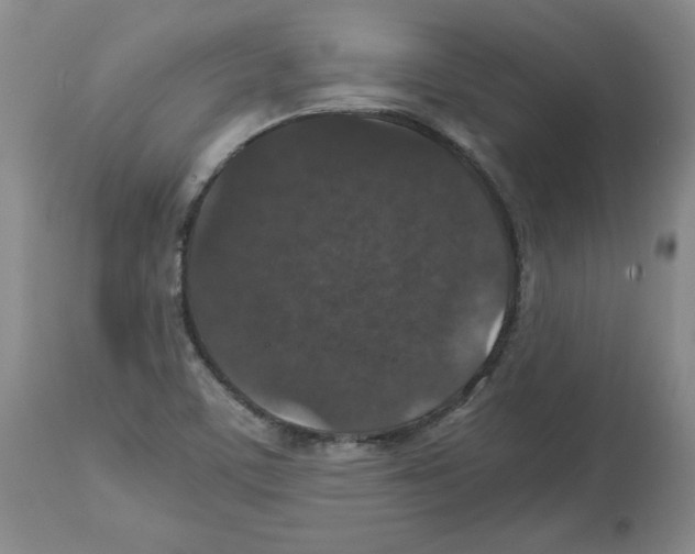 X0000112471459200909281033