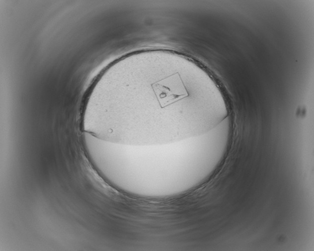 X0000112471460200909281033