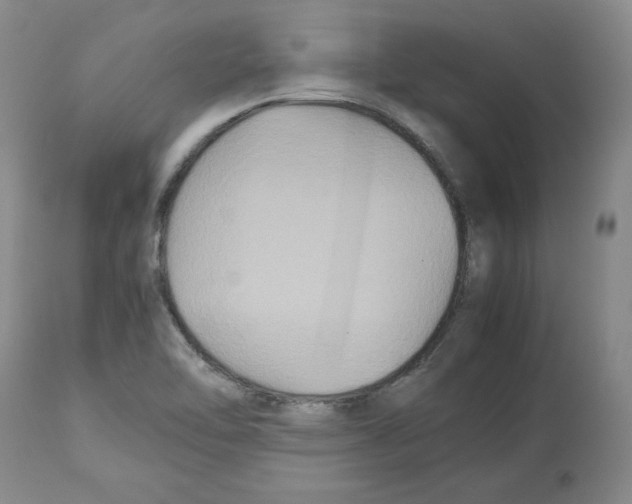 X0000112471462200909281033