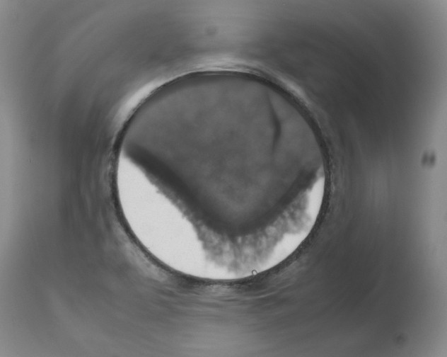 X0000112471463200909281033