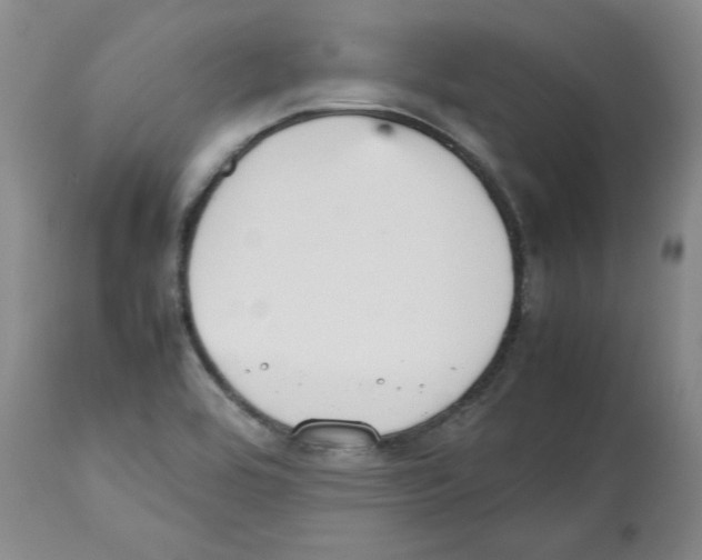 X0000112471464200909281033