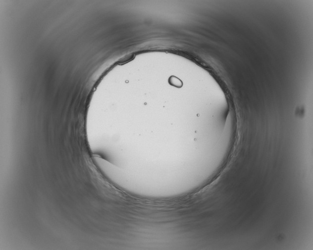 X0000112471465200909281033