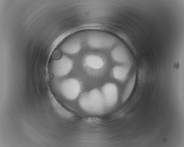 X0000112471466200909281033