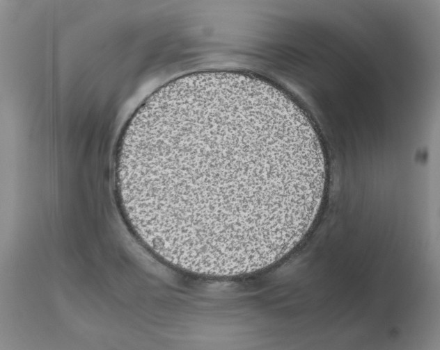 X0000112471467200909281033