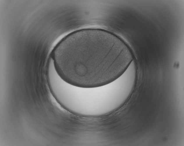 X0000112471468200909281033