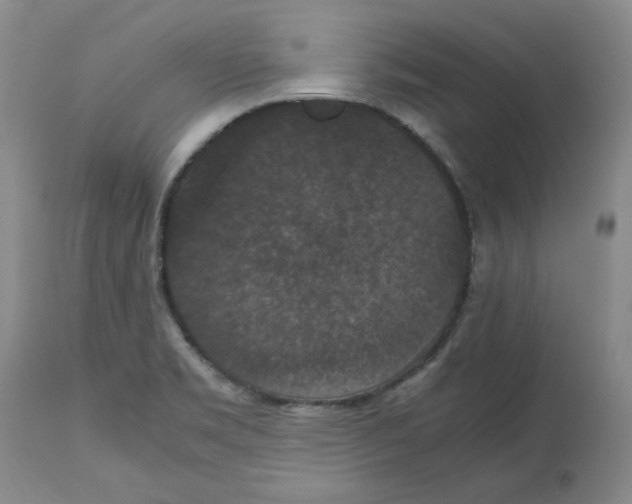 X0000112471469200909281033
