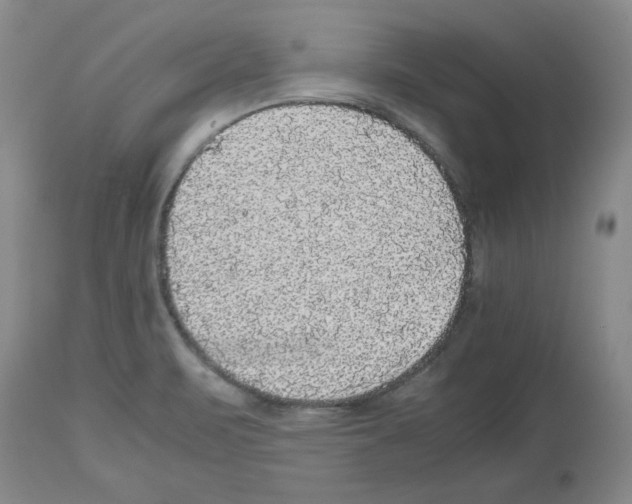 X0000112471471200909281033