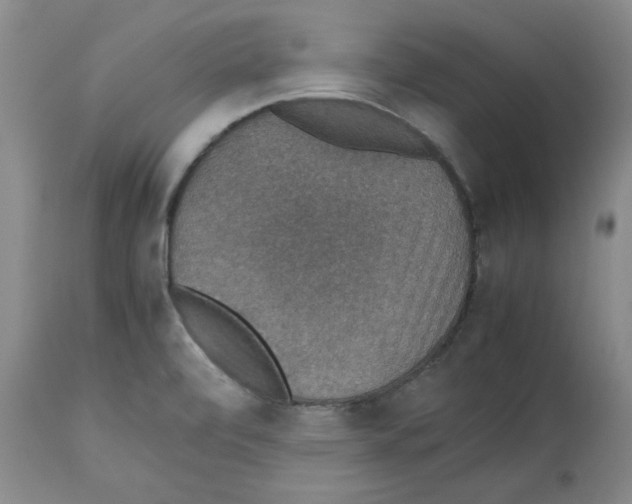 X0000112471472200909281033