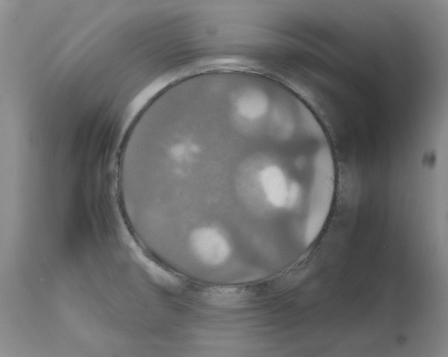 X0000112471474200909281033