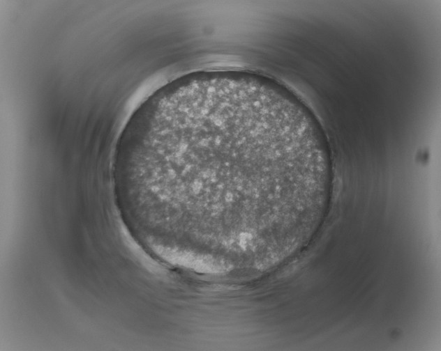 X0000112471475200909281033