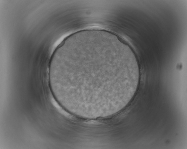 X0000112471476200909281033