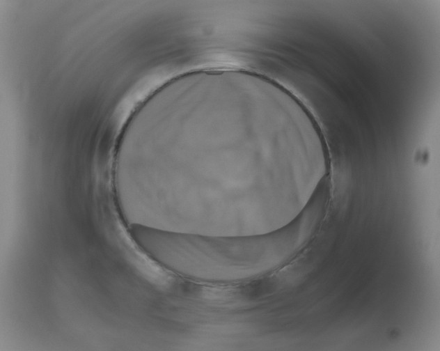 X0000112471477200909281033