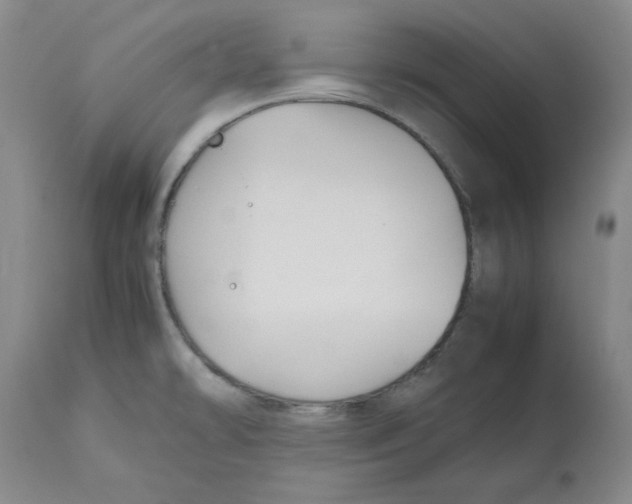 X0000112471478200909281033