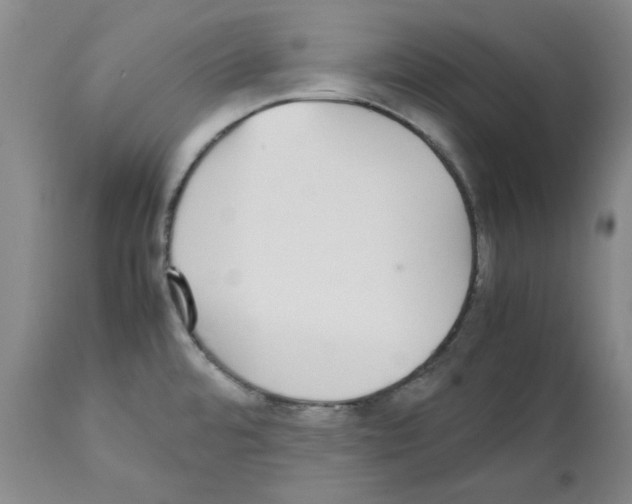 X0000112471480200909281033