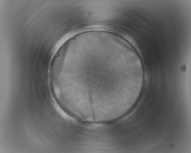 X0000112471482200909281033