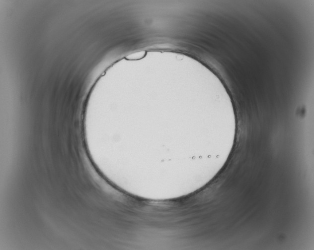 X0000112471483200909281033