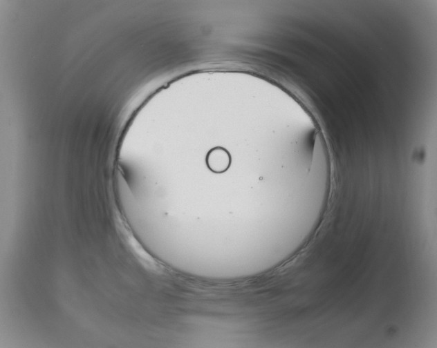 X0000112471485200909281033