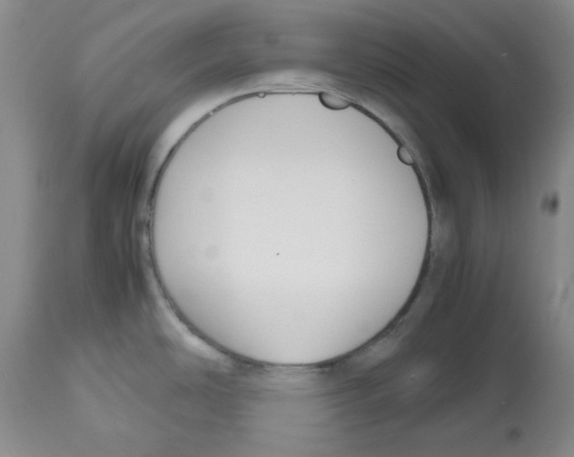 X0000112471486200909281033