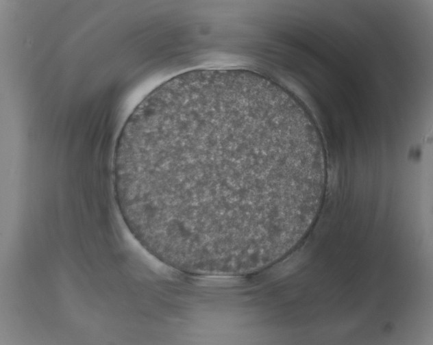 X0000112471487200909281033