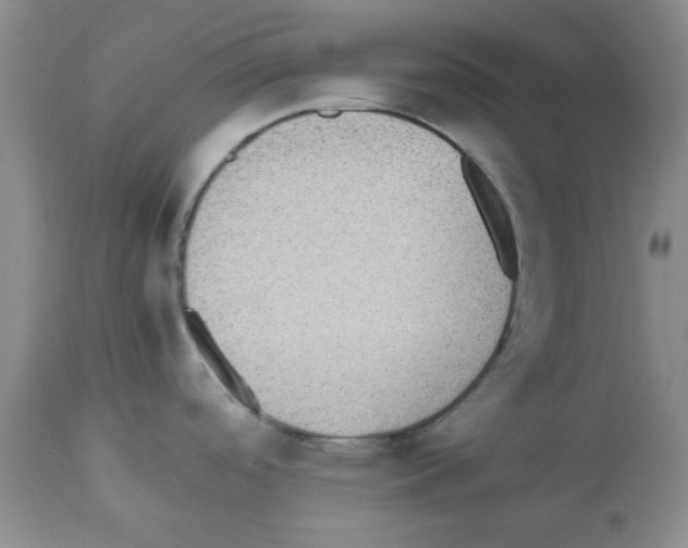 X0000112471488200909281033