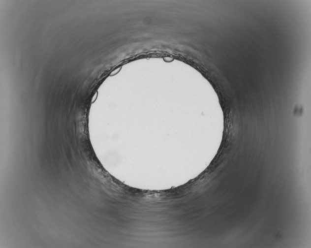 X0000112471490200909281032