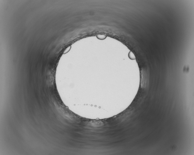 X0000112471491200909281032