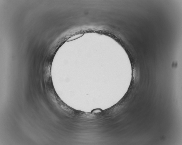 X0000112471492200909281032
