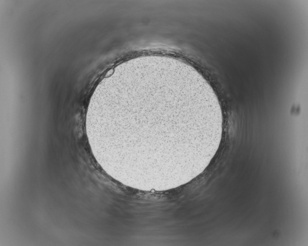X0000112471493200909281032