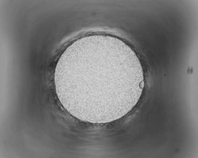 X0000112471494200909281032