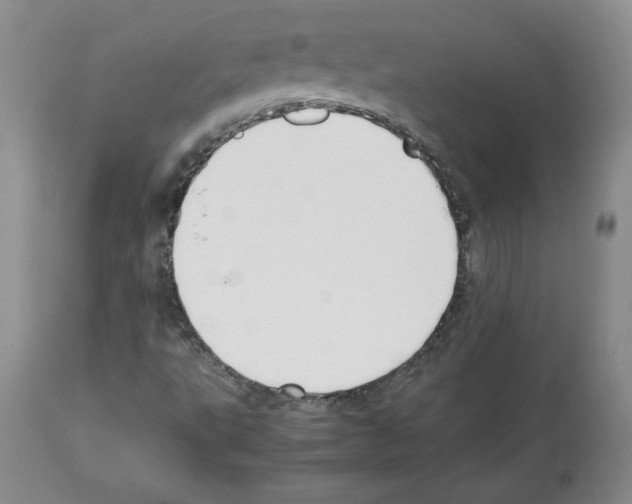 X0000112471495200909281032