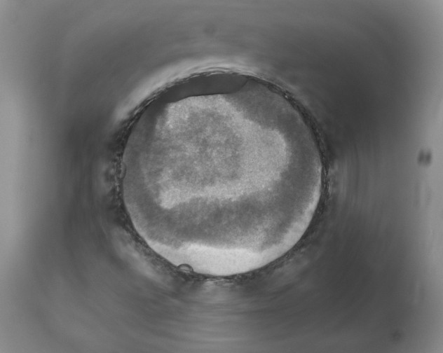 X0000112471496200909281032
