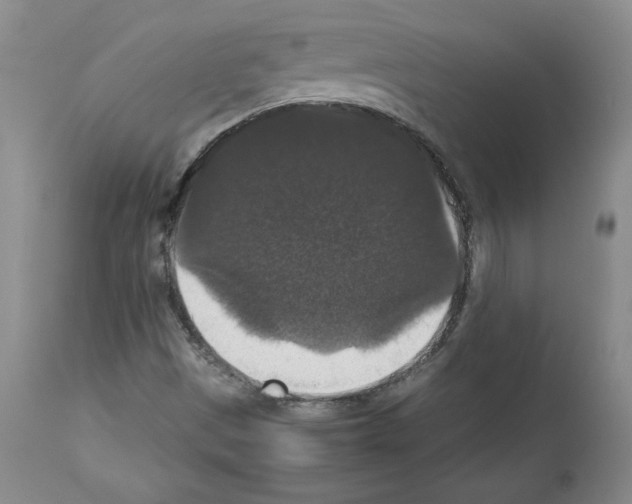 X0000112471497200909281032