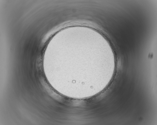 X0000112471498200909281032