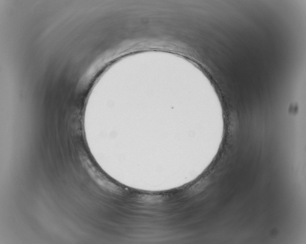 X0000112471499200909281032