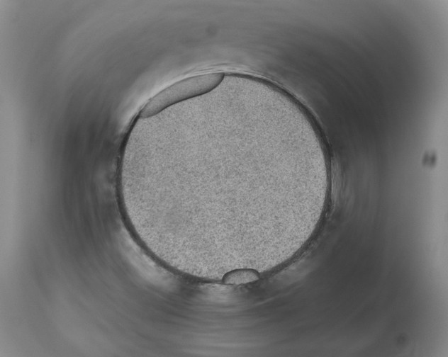 X0000112471500200909281033