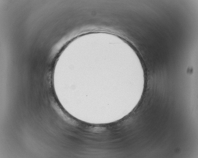 X0000112471503200909281033