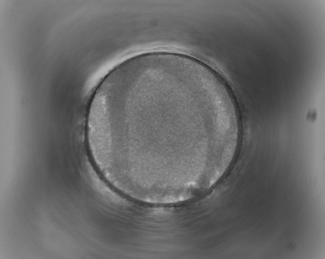 X0000112471504200909281033