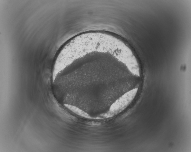 X0000112471505200909281033
