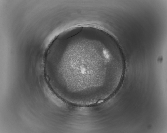 X0000112471506200909281033