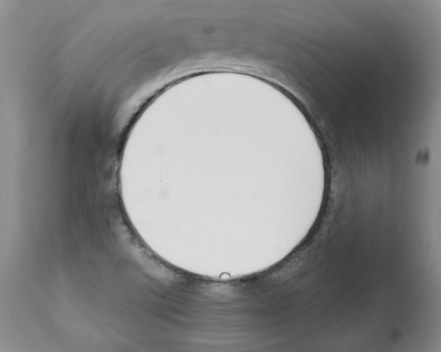X0000112471507200909281033