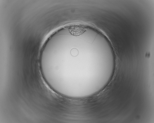 X0000112471508200909281033