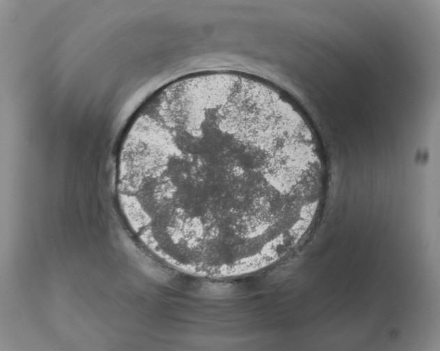 X0000112471509200909281033