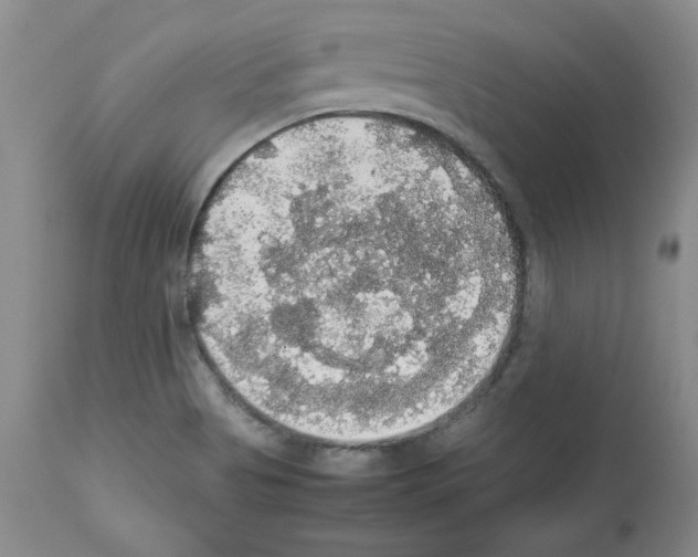 X0000112471513200909281033
